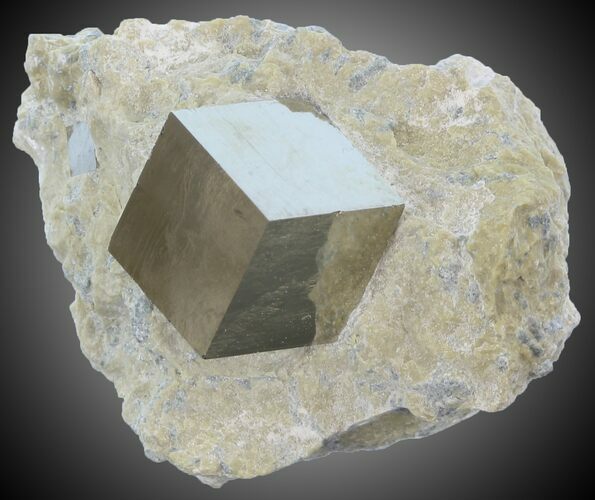 Pyrite Cube on Matrix - Navajun, Spain #30956